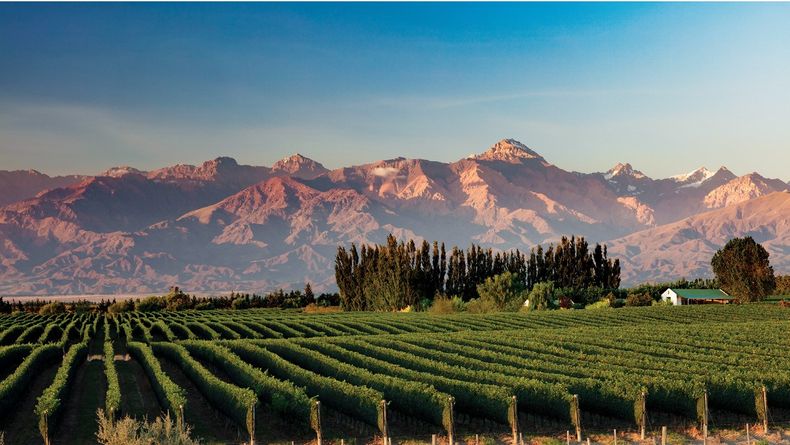 Mendoza. (cronista.com)..jpg