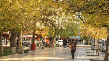 El Servicio Meteorológico Nacional anticipa una jornada con un clima excelente en Pilar y una temperatura máxima de hasta 24°C.