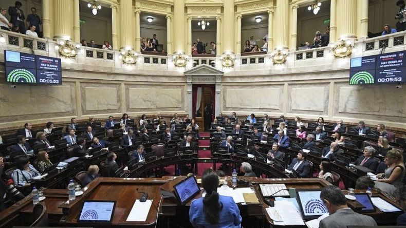 SENADO. El martes empieza el debate por la despenalización del aborto..