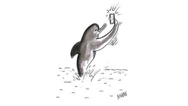 HUMOR - “Delfie”