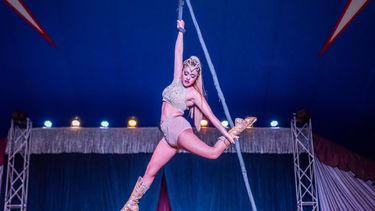 El Circo Sathany se quedará en Pilar hasta principios de junio.&nbsp;