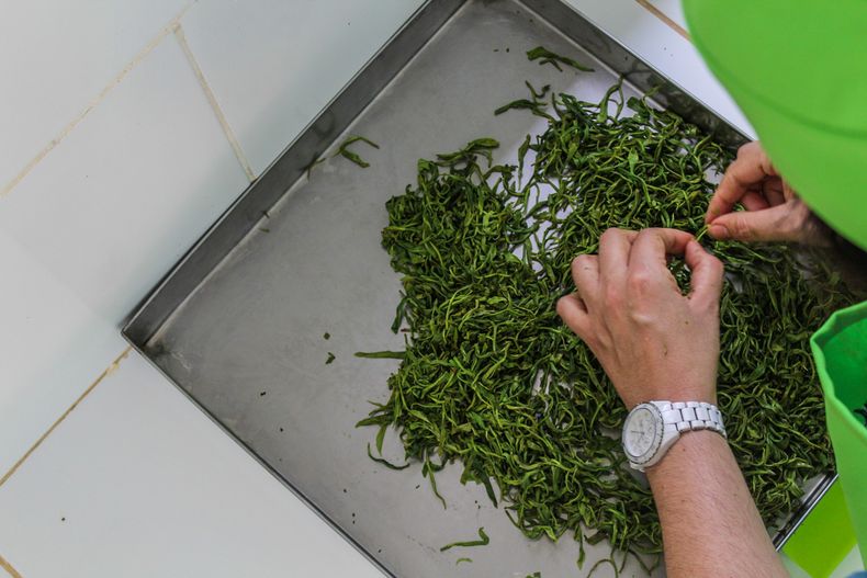 El 90% de lo que se produce se exporta. (larutadelte.com.ar)..jpg