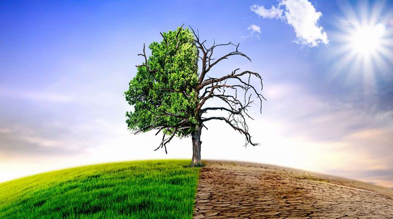 Visibilizar la urgencia del cambio climático. (noticiasambientales.com).