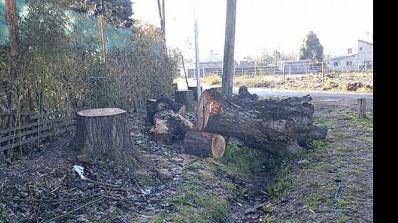 f800x450 26197_77643_5050.jpg