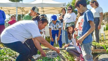 Con el Programa Pilar Orgánico, recibimos a niños y niñas de la Escuela Primaria Nº 23 de Villa Astolfi en la huerta comunitaria Irízar. En una jornada de capacitación y prácticas sobre huerta, siembra y cosechas. La importancia de aprender a valorar la tierra y sus frutos, la educación ambiental. Es primordial para incluir en los saberes de los más pequeños. Valeria Dominguez.