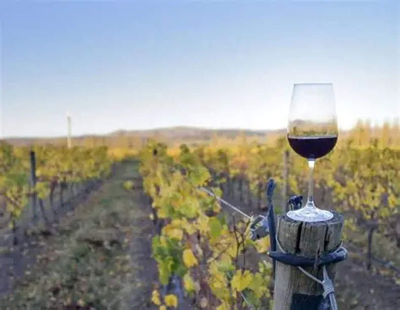 Bodega Saldungaray. (todoprovincial.com).