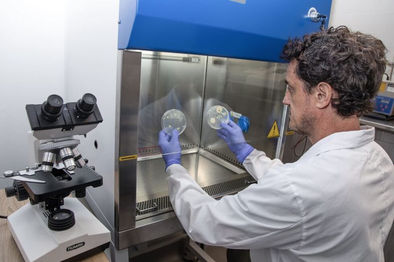 Paulo Maff&iacute;a en el laboratorio de la Universidad Nacional de Hurlingham. Adem&aacute;s es investigador del Conicet.