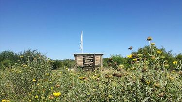 La #ReservaNaturalDelPilar, es un espacio protegido compuesta por juncales, pastizal pampeano, talares, sarandí colorado, sauce criollo y aliso de río. En ella se distinguen más de 200 especies de aves, lobito de río, comadrejas, liebres, coipos, zorrinos, anfibios y reptiles. Pilar Turismo / @PilarTurismo..