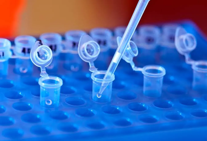La Provincia aprobó un protocolo único para recolectar, conservar y remitir muestras de ADN, con nuevas reglas para reforzar la cadena de custodia.