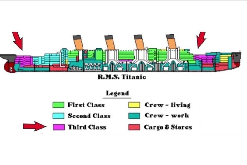 Así estarán distribuidas en los 9 camarotes las distintas clases. (Blue Star Line).
