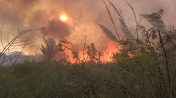 A OSCURAS. El fuego afectó a la altura de Pilar una línea de alta tensión de 500 kw que une Campana con General Rodríguez..