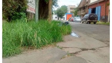 COMBO. Pasto alto y basura a 300 metros de la plaza de Pilar..