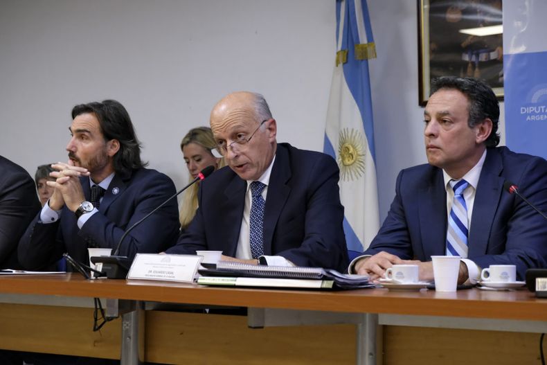 DICTAMEN. El procurador interino Eduardo Casal, en el Congreso, en junio pasado. &nbsp;