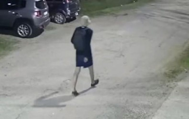 El ladr&oacute;n fue identificado por las c&aacute;maras de De Vicenzo Grande.