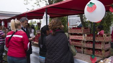 Fátima vivió una nueva Fiesta de la Frutilla