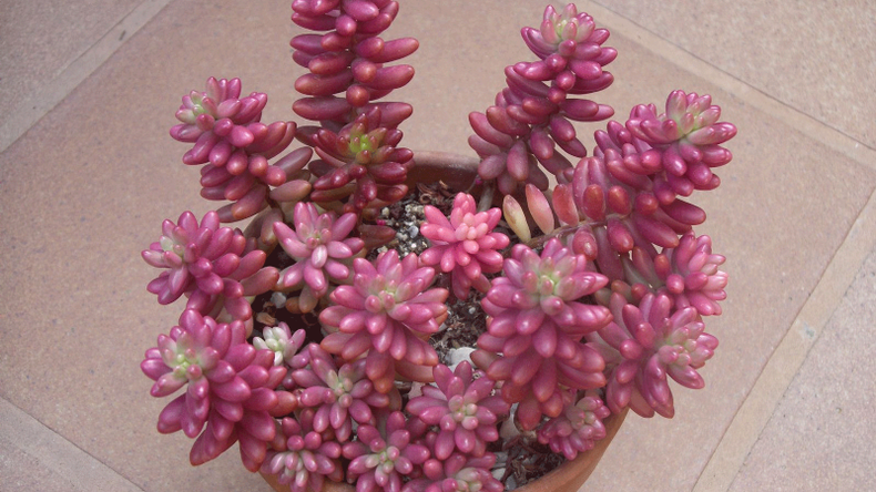f800x450 118331_169777_5050.png