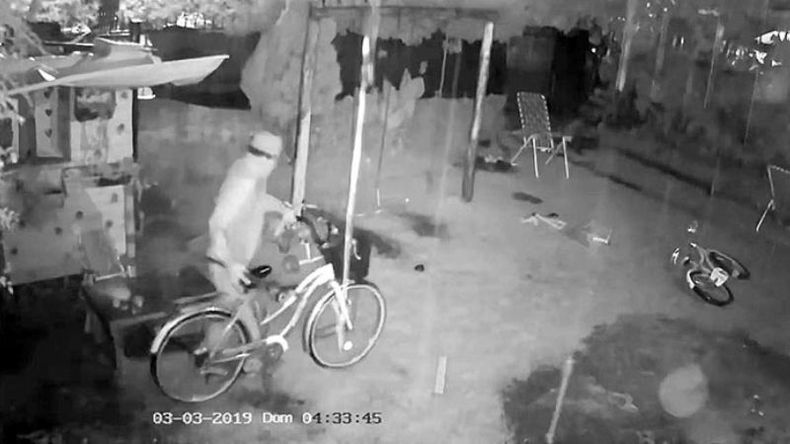 VIDEO. Imagen de las cámaras en el último robo..