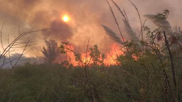 El grave incendio que se desató en Carabassa el 1º de marzo.