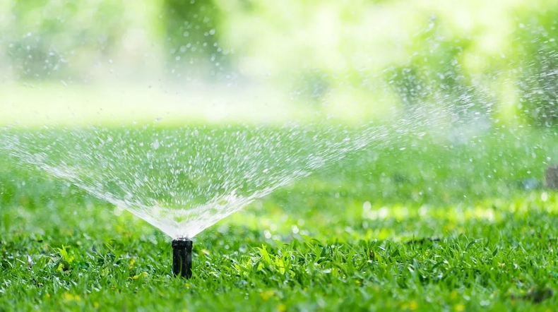 Riego como lluvia. (graciasnaturaleza.com)..png