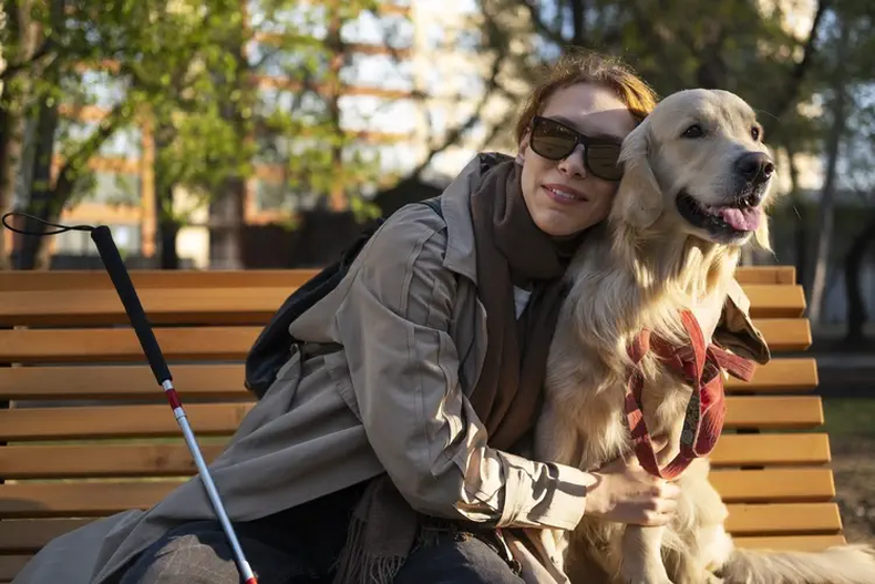 Hoy es el Día Internacional del Perro Guía. (petsea.ir)..webp