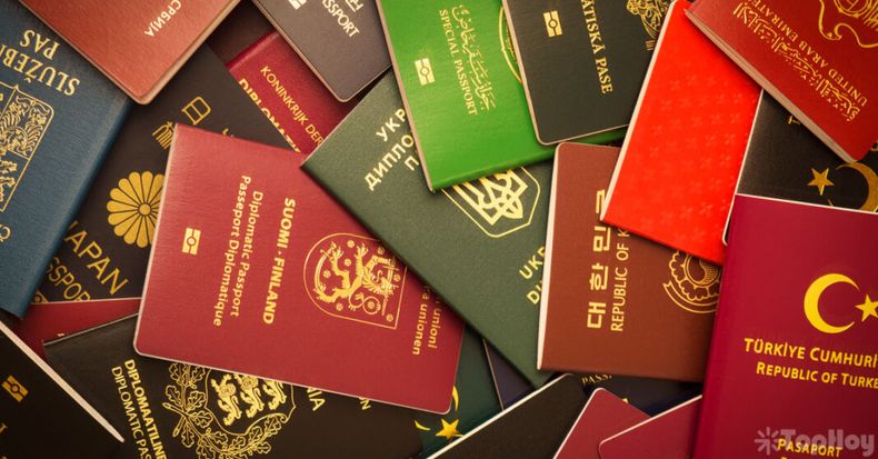 Los cuatro colores de pasaportes del mundo. (tophoy.com)..jpg