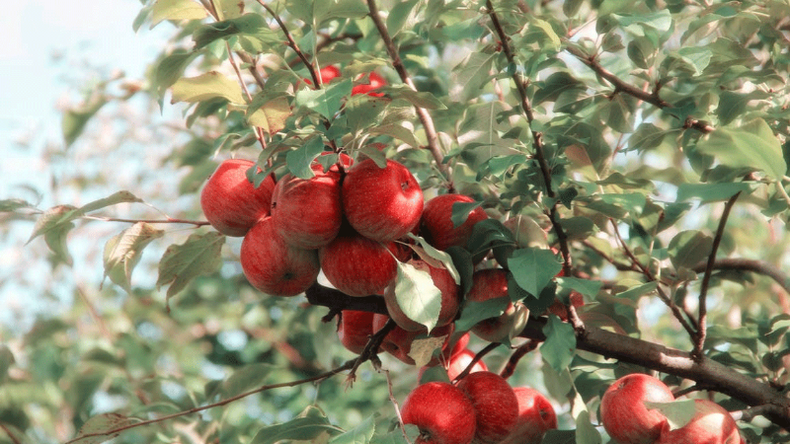 f800x450 119121_170567_5050.png