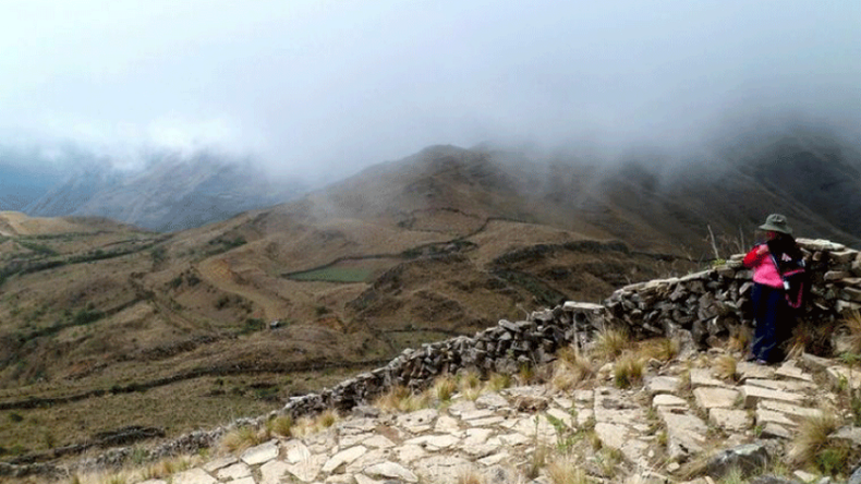 f800x450 118395_169841_5050.png