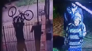 El robo de la bicicleta quedó registrado por las cámaras.