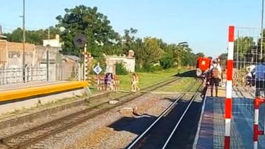 El hecho ocurrió a unos 100 metros de la estación de Manuel Alberti.