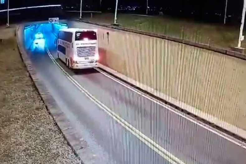El auto y el colectivo vieron de frente al carpincho. (El Litoral).png