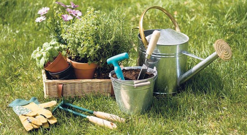 ¿Cómo comenzar a preparar el jardín para la primavera? (lavoz.com.ar)..jpg
