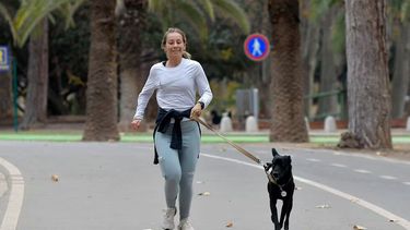 El Servicio Meteorológico Nacional anticipa una jornada de mucha humedad en Pilar y una temperatura máxima de 26°C. En los próximos días volverá el calor. El Servicio Meteorológico Nacional anticipa una jornada de mucha humedad en Pilar y una temperatura máxima de 26°C. En los próximos días volverá el calor.