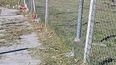 Este es el único pasillo que conecta a la estación con Villa Buide. Una vergüenza, te aumentan el boleto pero no tienen nada de mantenimiento. Estaría buenísimo que abran el pasillo que conecta a la calle Armando Ferreyra. Juan Cruz Zimmermann.
