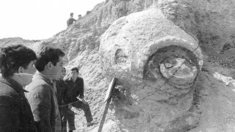 En 1966 se produce un hallazgo que muchos todavía recuerdan. En una cantera del barrio Carabassa se encuentran resto fósiles de un gliptodonte, especie de “mulita” del tamaño de un Fiat 600, que dejó de habitar estas tierras hace 10.000 años. El ejemplar hallado tenía un caparazón de casi dos metros de largo por uno de ancho. Sin saber qué hacer con él, fue entregado a los bomberos de Pilar, quienes optaron por enterrarlo en un rincón del cuartel central. .