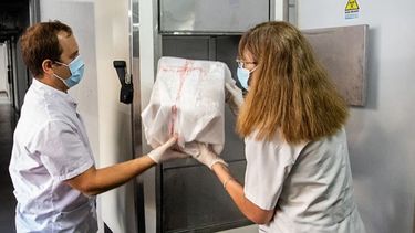 32 puntos del país recibieron las primeras dosis de la Sputnik V..