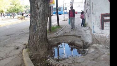 Foto de Lectores