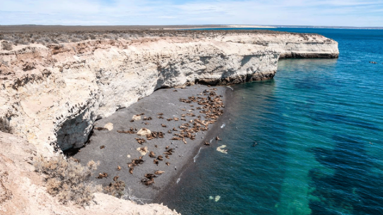 Península Valdés and El Pedral, Argentina.