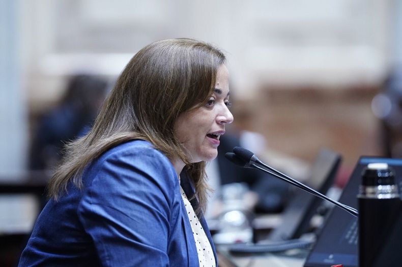 CON DUREZA. Así fue la crítica de Moreau hacia los senadores de Juntos.