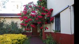 SÍMBOLO. Estrella Federal, también utilizada en Navidad..
