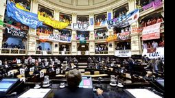 Banderas en Diputados. Diferentes agrupaciones celebraron la media sanción..
