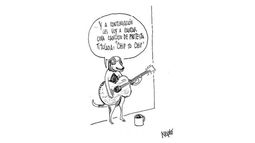 Humor