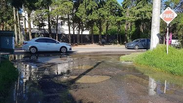 Foto de lectores