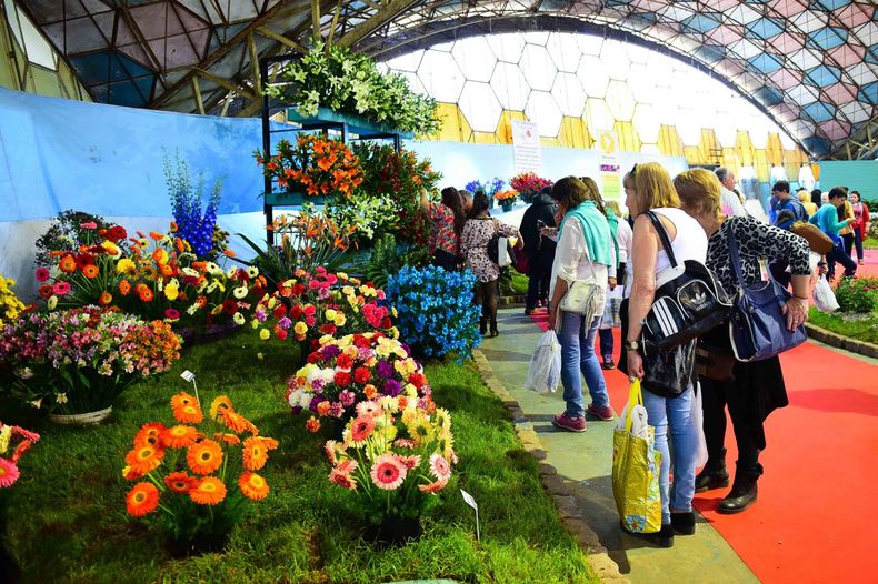 Arranca la Fiesta Nacional de la Flor en Escobar. (zonanortehoy.com)..jpg