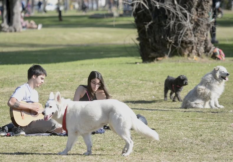 El Servicio Meteorológico Nacional anticipa una jornada ideal para este domingo en Pilar y un gran comienzo de semana en toda la región.