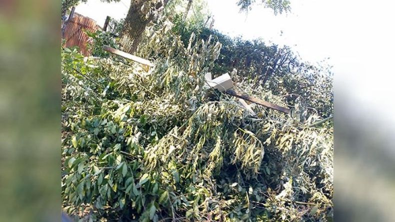 Necesitamos junten las ramas en Teniente General Juan Domingo Perón, entre Alerces y Casuarinas. Están tapando el tránsito, además hay tierra en el otro borde de la calle, lo que hace que no se pueda pasar. Pablo Sabbath / @Pabloklos. .
