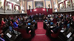 DEBATE. El senado será la puerta de entrada para volver a discutir las relecciones.
