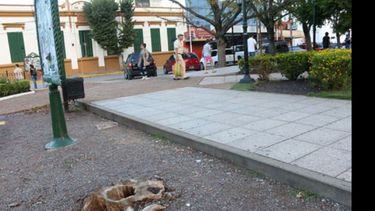 TRUNCO. Uno de los 27 ejemplares que murieron, en la esquina de Yrigoyen y Rivadavia..