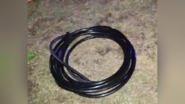 Los roba cables fueron detenidos cuando intentaron darse a la fuga.&nbsp;
