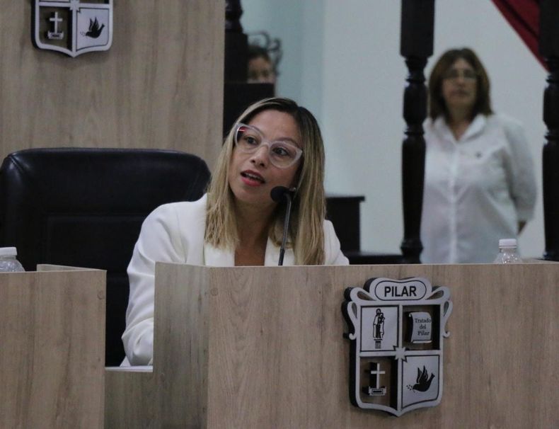 PROYECTO. Cáceres apuntó a la necesidad de controlar el mosquito. &nbsp;