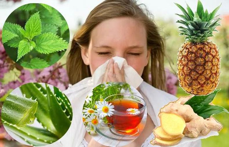 Plantas medicinales contra la rinitis alérgica. (buenasalud.net).